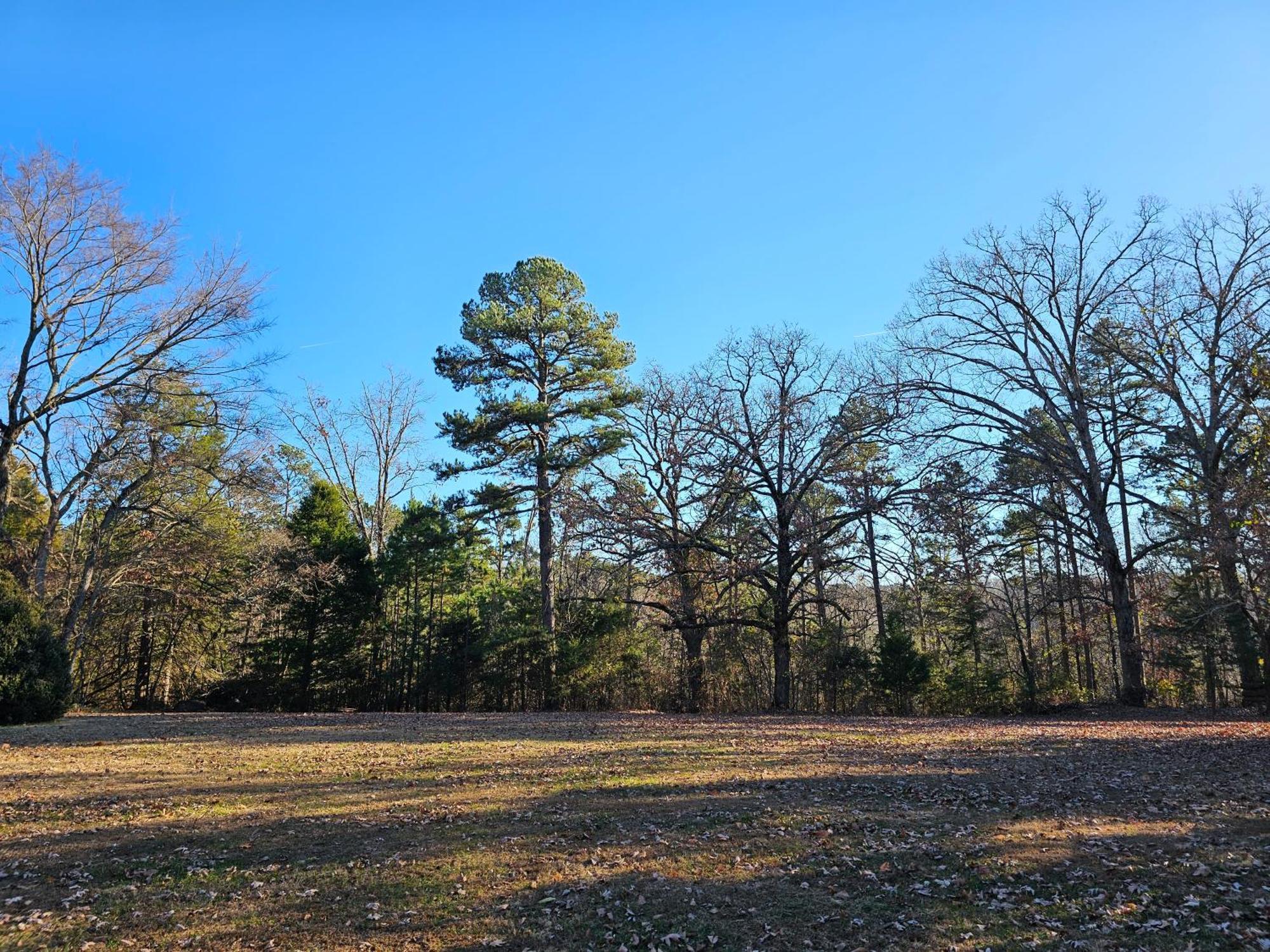5 Min To Beaver Lake-King Bed-Fire Pit-Jetted Tub #5 Eureka Springs Exteriör bild